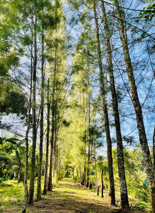 Wassana Sitdharma Guesthouse Trang Ngoại thất bức ảnh