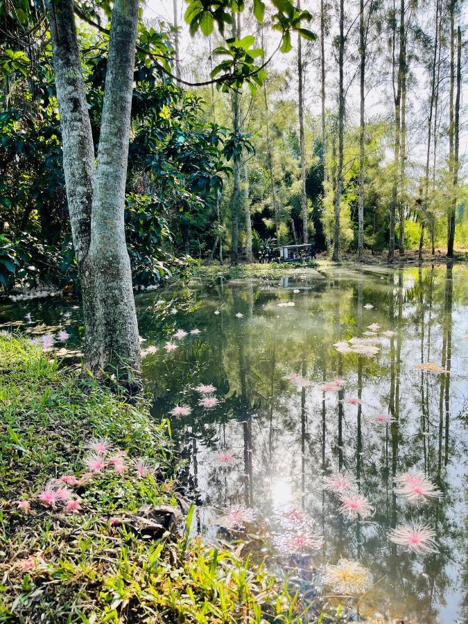 Wassana Sitdharma Guesthouse Trang Ngoại thất bức ảnh