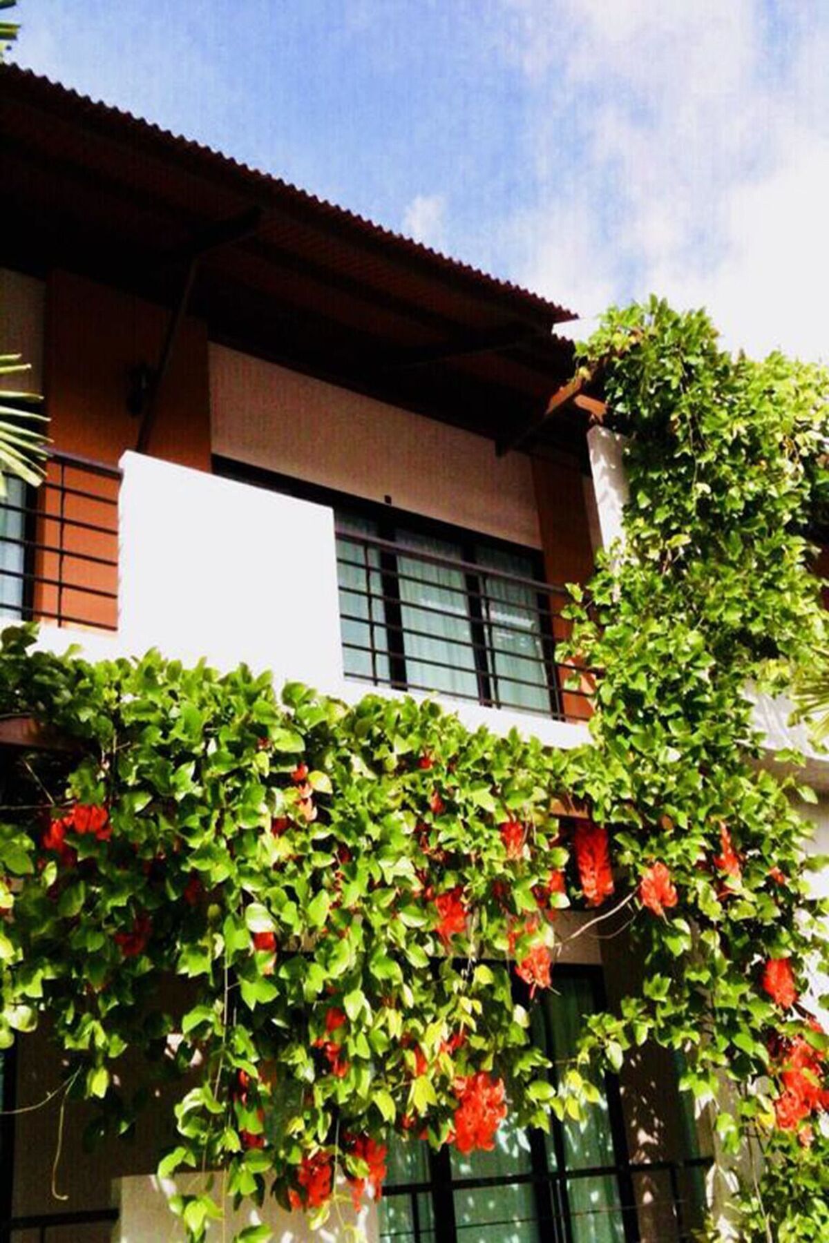 Wassana Sitdharma Guesthouse Trang Ngoại thất bức ảnh
