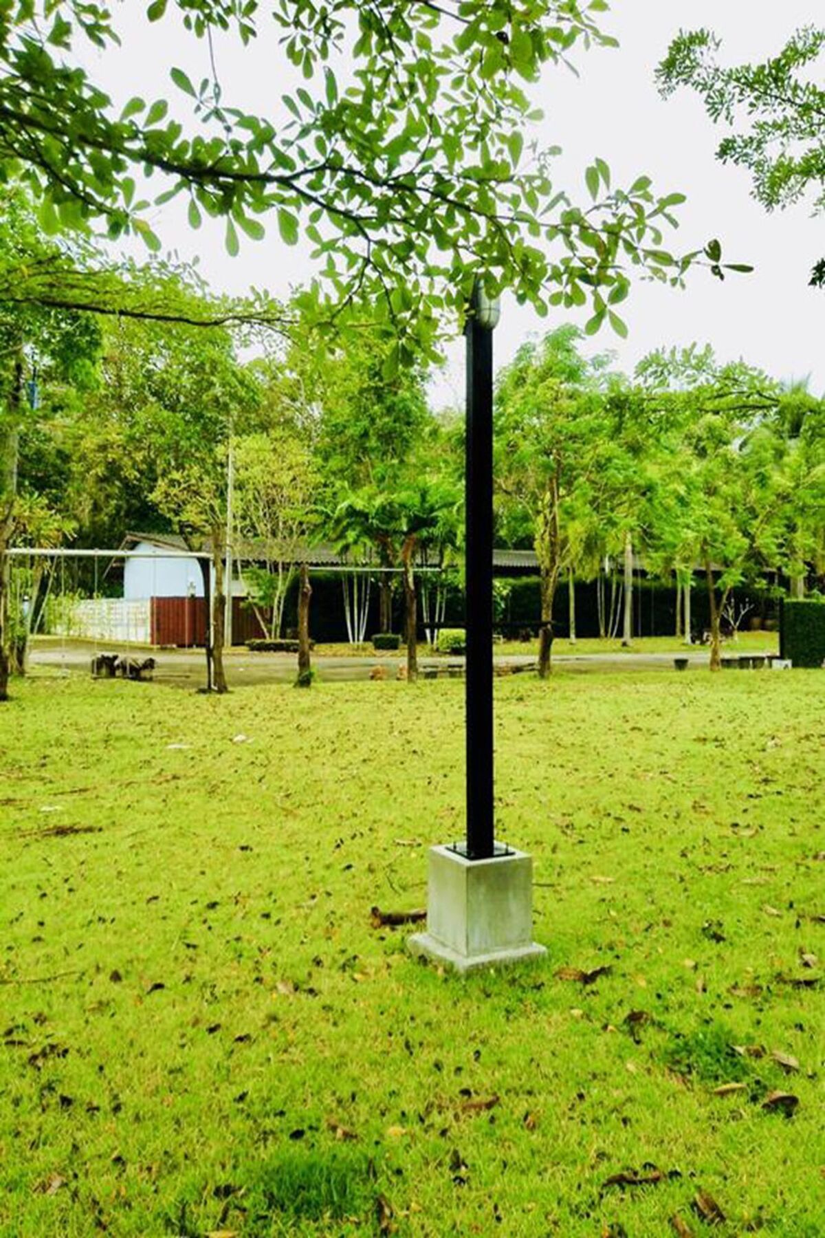 Wassana Sitdharma Guesthouse Trang Ngoại thất bức ảnh