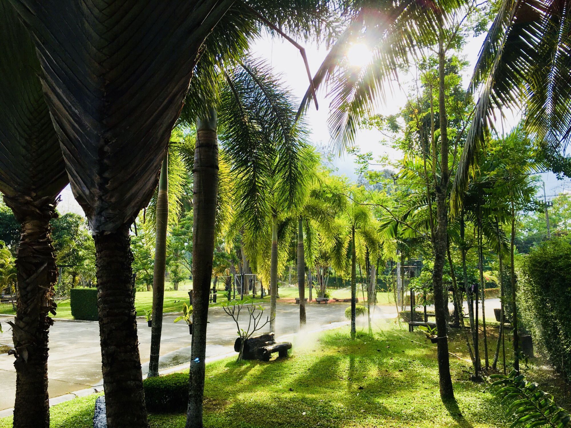 Wassana Sitdharma Guesthouse Trang Ngoại thất bức ảnh