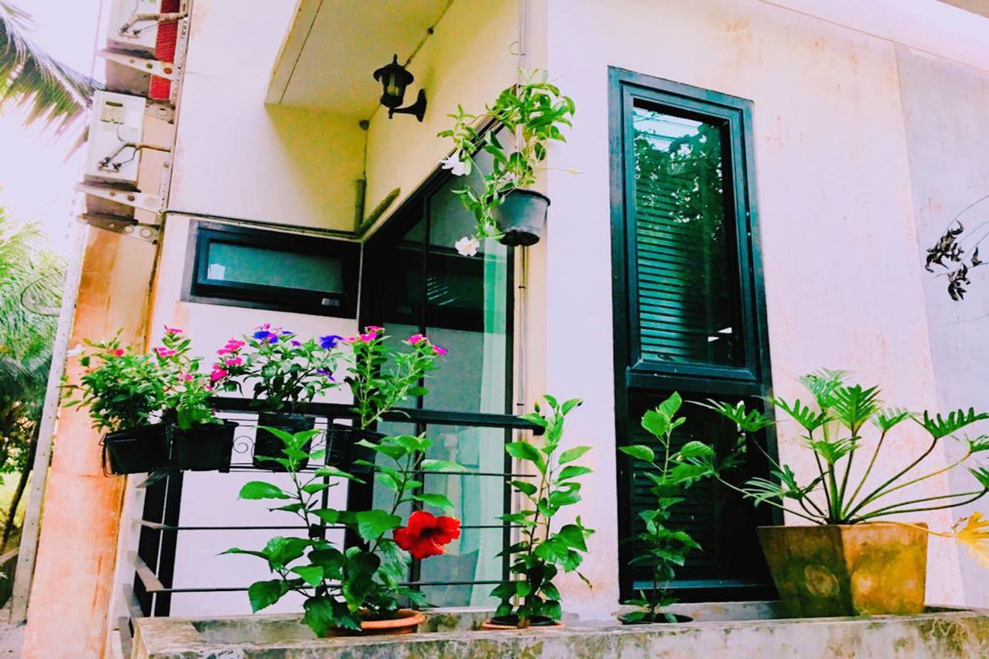 Wassana Sitdharma Guesthouse Trang Ngoại thất bức ảnh